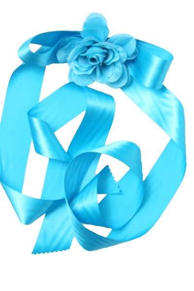 Turquoise Ribbon and sash